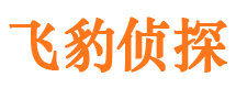 瑶海侦探公司